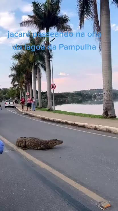 JacarÃ©